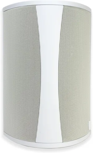 Definitive Technology AW5500 Outdoor Speaker - 5.25-inch Woofer, 175 Watts, High Performance, Built for Extreme Weather (Single, White)