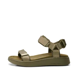 Line - Dark Olive