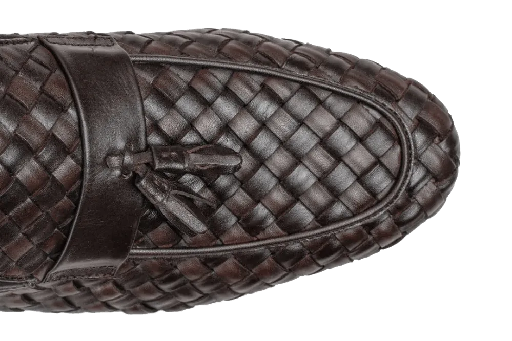 LOGO 7534 BRA
